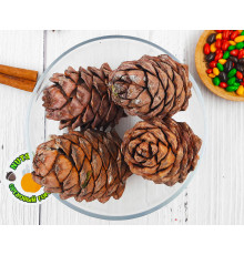 Кедровые шишки